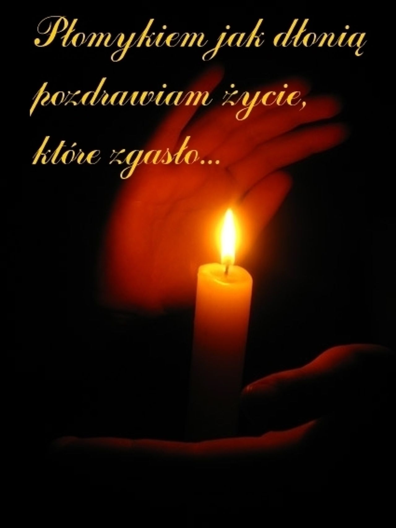 <p>Z głębokim żalem zawiadamiamy, że 26 lutego 2017 r., odszedł od nas na wieczną wachtę,</p><p>Żeglarz, Kapitan, Mąż, Tatuś, Dziadek, Brat, Chrzestny<br />śp. Lesław Batkowski<br />Popłynął na najdłuższy rejs swojego życia. Stoi za sterem,<br />Jest szczęśliwy…<br />Pogrzeb odbędzie się w środę, 1 marca 2017 r. o godz. 11.10 na cmentarzu komunalnym (starym) przy ul. Wrocławskiej w Zielonej Górze.<br />Rozpoczęcie ceremonii pogrzebowej o godz. 11.00.<br />Rodzina<br />Prosimy o nieskładanie kondolencji</p>