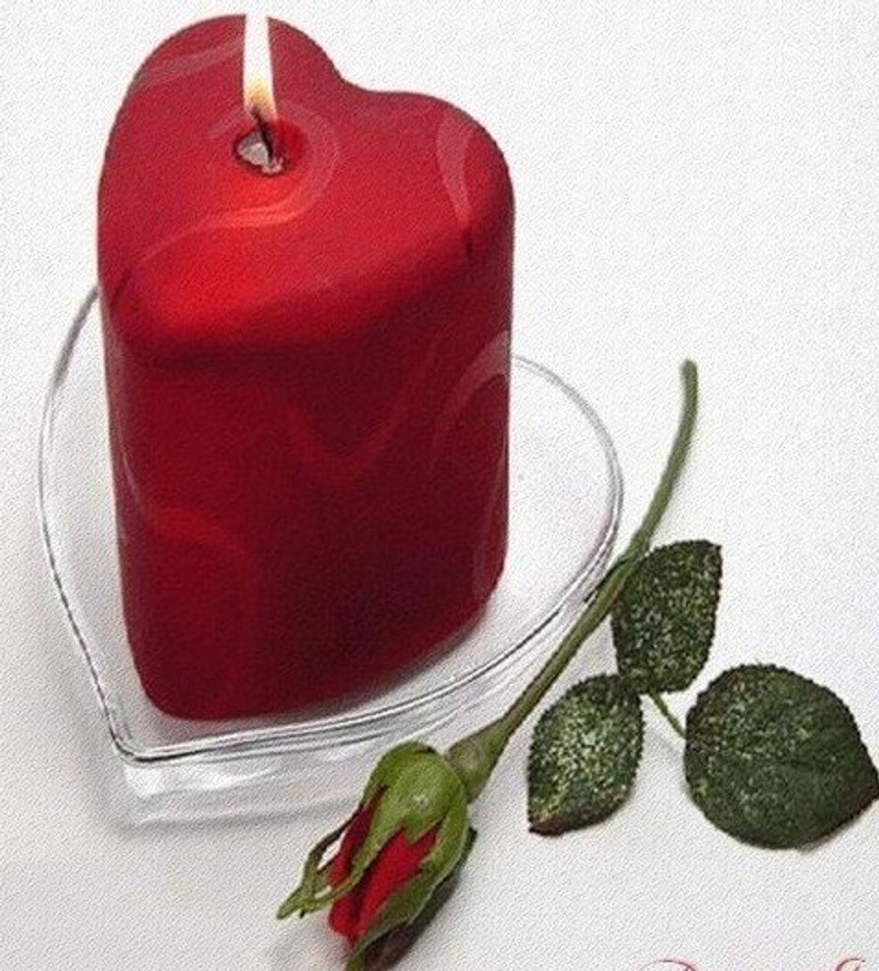 <p>„Serce złote miałaś, od życia niewiele chciałaś Zawsze z czułością o nas dbałaś I wszystkich nas bardzo kochałaś „ Z głębokim żalem zawiadamiamy, że 28 września 2011 roku odeszła od nas w wieku 84 lat, nasza kochana MAMUSIA, TEŚCIOWA, BABCIA, PRABABCIA i CIOCIA śp. STANISŁAWA CIESIELSKA z domu Grzegorzewska Pogrzeb odbędzie się w piątek 30 września 2011 roku o godz. 12.30 na cmentarzu komunalnym (starym) przy ul. Wrocławskiej w Zielonej Górze Córka i Syn z Rodzinami</p>