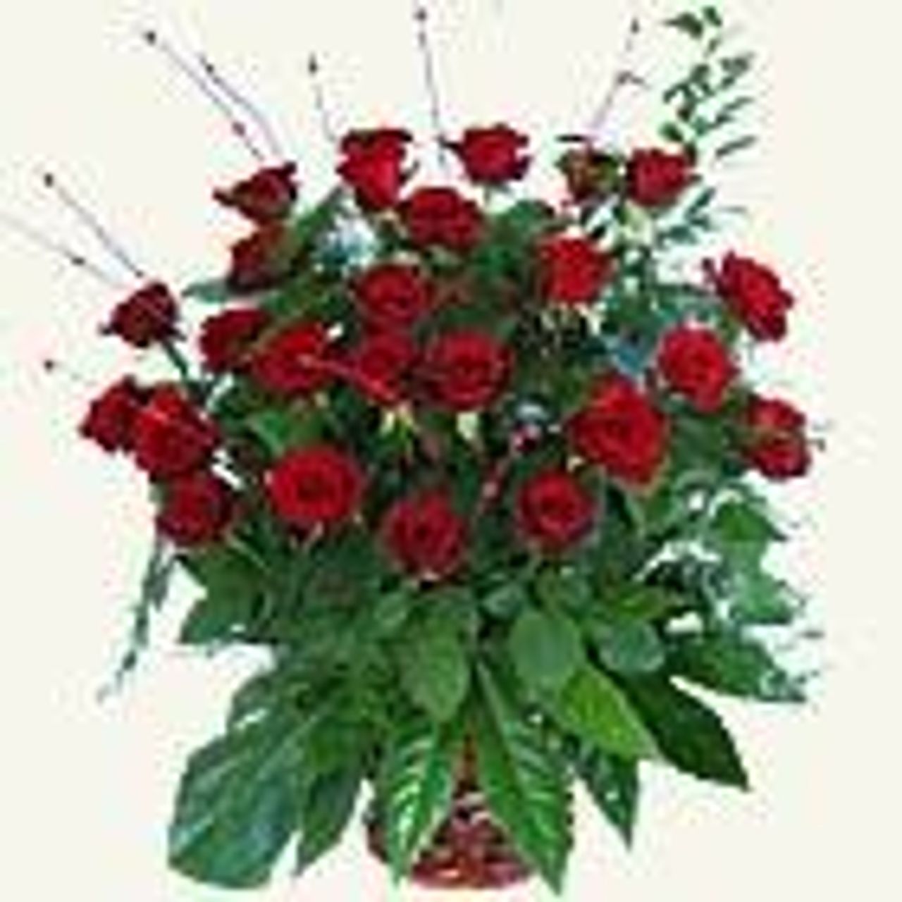 <p>Dnia 25 grudnia 2011 r. odeszła<br />śp.<br />Jadwiga Prusik<br />Ceremonia pogrzebowa odbędzie się 30 grudnia 2011 r. o godz. 11.30 na cmentarzu katolickim - Łódź (Doły).<br />Pogrążona w smutku Rodzina<br />Prosimy o nieskładanie kondolencji.</p>