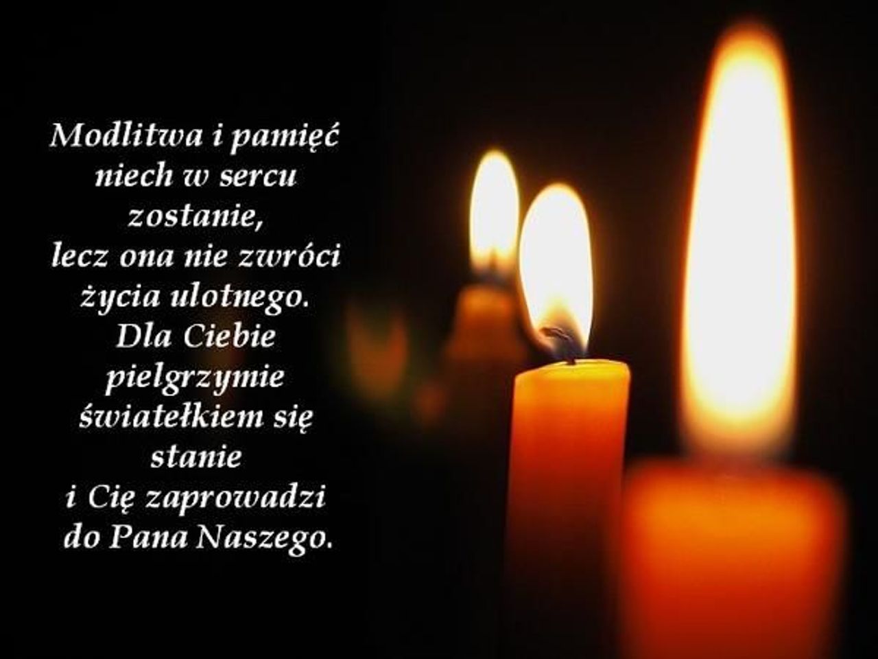 <p>Ze smutkiem zawiadamiamy, że 13 grudnia 2010 r. odeszła od nas w wieku 75 lat, nasza kochana MAMA, BABCIA, PRABABCIA i SIOSTRA sp. RÓŻA BOJARSKA Pogrzeb odbędzie się w piątek 17 grudnia 2010 r. o godz. 13.30 na cmentarzu komunalnym w Jędrzychowie Pogrążona w żałobie Rodzina</p>