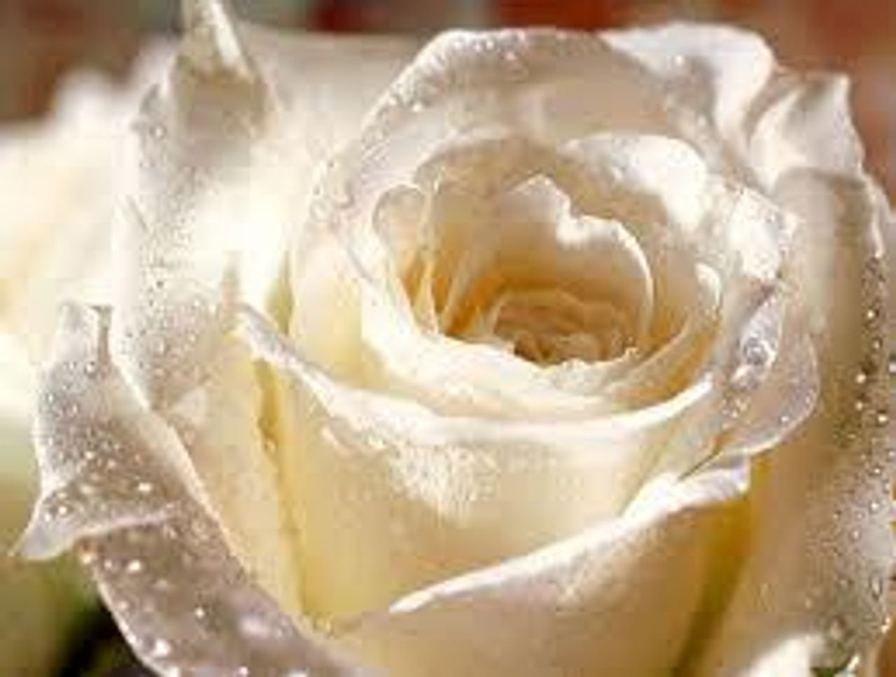 <p><em>Zamknęły się kochane oczy</em><br /><em>Spoczęły pracowite dłonie</em><br /><em>Przestało bić najdroższe serce</em><br /><em>Matka odchodzi zawsze za wcześnie</em></p>
<p>Z głębokim żalem zawiadamiamy, że dnia 29 czerwca 2010 roku odeszła od nas nasza Kochana Mama i Żona</p>
<h4>ś+p<br />Łucja Rutkowska<br />lat 53</h4>
<p>Msza św. pogrzebowa zostanie odprawiona w czwartek, 1 lipca br. o godz. 12.00 w kaplicy na cmentarzu w Smochowicach. Pogrzeb po mszy św. o godz. 13.00 na miejscowym cmentarzu.</p>
<p>W smutku pogrążony<br />mąż z córką</p>