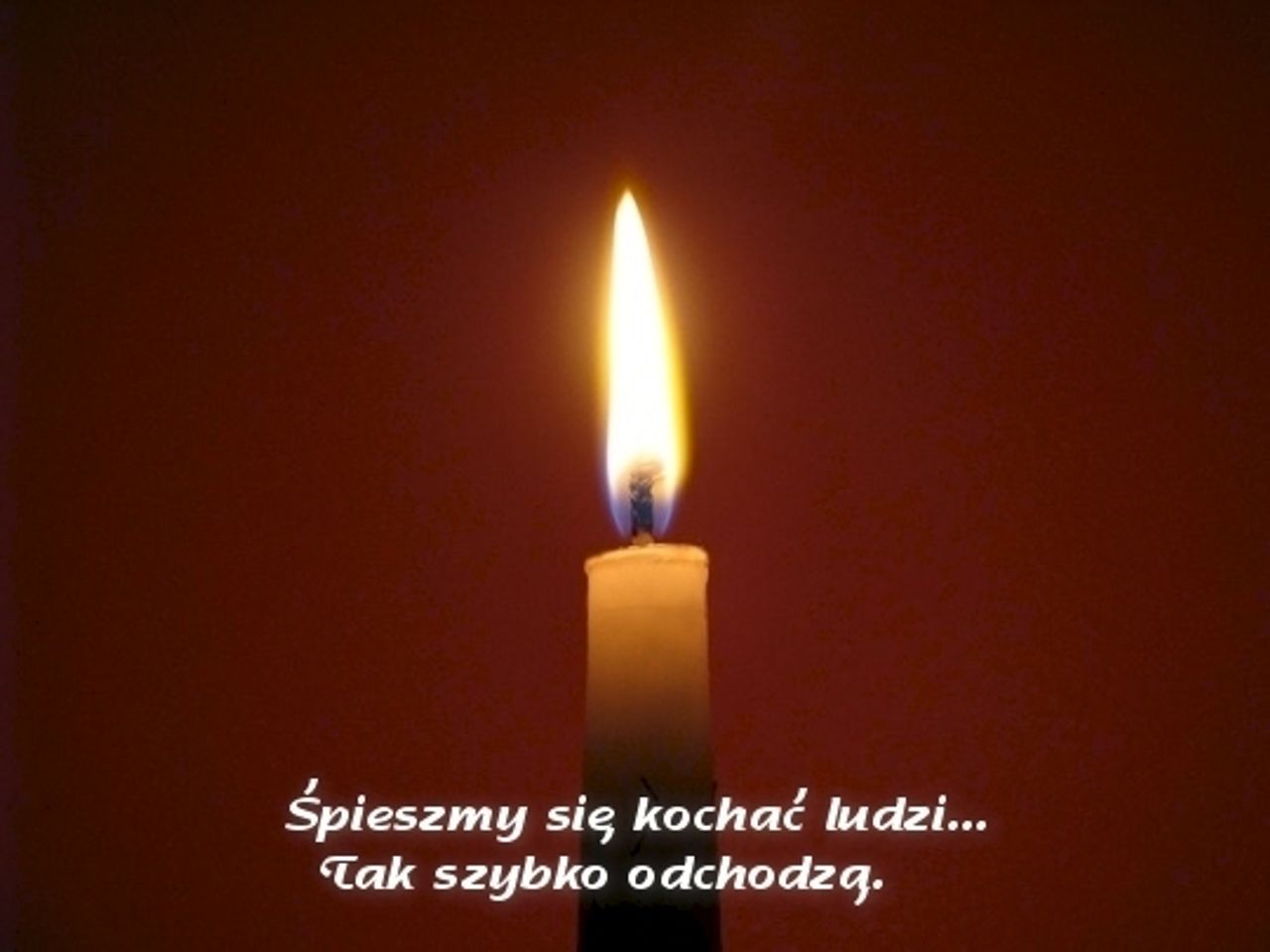 <p>Z głębokim żalem żegnamy naszego Pracownika, dobrego Kolegę, zmarłego dnia 23 października 2010 roku</p>
<h4>Piotra Talara</h4>
<p>Najszczersze wyrazy współczucia Rodzinie i Najbliższym składają Właściciele i pracownicy Firmy Inżynierskiej "Delta Sieci" sp. j. w Kielcach</p>