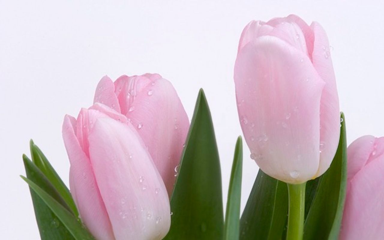 <p>Z głębokim żalem zawiadamiamy, że w dniu 17 maja 2011 r. zmarła nasza kochana Żona, Mama, Córka i Babcia<br />Ś.+P.<br />Anna Patrzykąt<br />z domu Wilczyńska<br />Uroczystość pogrzebowa odbędzie się 27 maja br. (piątek) o godz. 13.30 na cmentarzu pw. św. Franciszka przy ul. Rzgowskiej 156/158.<br />Najbliżsi</p>