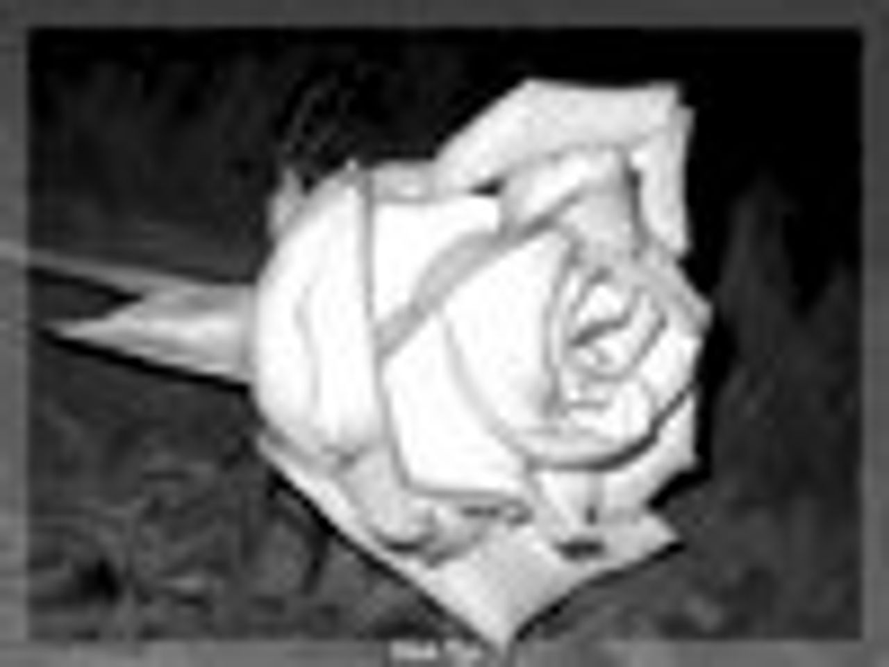 <p><em>Bólu nie zagasi żadne ukojenie Ból ten chowamy skrycie Bo łez naszych nikt nie zrozumie A dalej dalej jest życie.</em></p>
<p>Z sercem pełnym bólu i smutku zawiadamiamy, że dnia 28 stycznia 2011 roku zmarł nasz drogi przyjaciel</p>
<h4>śp. Mirosław Haczyński lat 45.</h4>
<p>Pogrążeni w smutku PRZYJACIELE WOJTEK, MACIEJ, KORNEL</p>