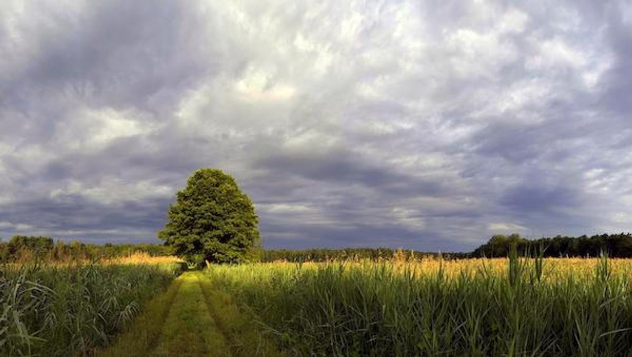 <p>Z głębokim żalem zawiadamiamy, że dnia 27 grudnia 2011 roku zmarł nasz kochany Ojciec, Teść, Dziadek i Pradziadek</p>
<h4>śp. JAN DYDYMSKI lat 90</h4>
<p>Pogrzeb poprzedzony mszą św. żałobną odbędzie się w piątek 30 grudnia br. o godz. 12.00 na cmentarzu parafii św. Trójcy (Jary) przy ul. Lotników w Bydgoszczy.</p>
<p>W smutku pogrążona<br />Rodzina</p>