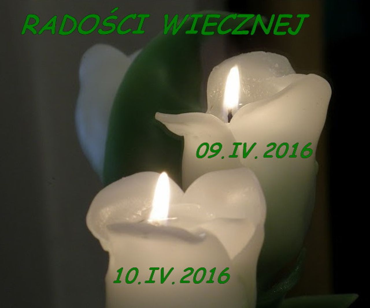 <p>,,ZAMKNĘŁY SIĘ KOCHANE OCZY, SPOCZĘŁY PRACOWITE DŁONIE, PRZESTAŁO BIĆ NAJDROŻSZE SERCE...” Z głębokim żalem zawiadamiamy, że 23 marca 2016 roku odeszła od nas Najukochańsza MAMUSIA, SIOSTRA, BABCIA i PRABABCIA śp. HALINA ZAWISTOWSKA Ceremonia pogrzebowa rozpocznie się 25 marca 2016 roku o godzinie 11.00 w Kaplicy na Cmentarzu Komunalnym w Koszalinie Pogrążona w smutku Rodzina</p>