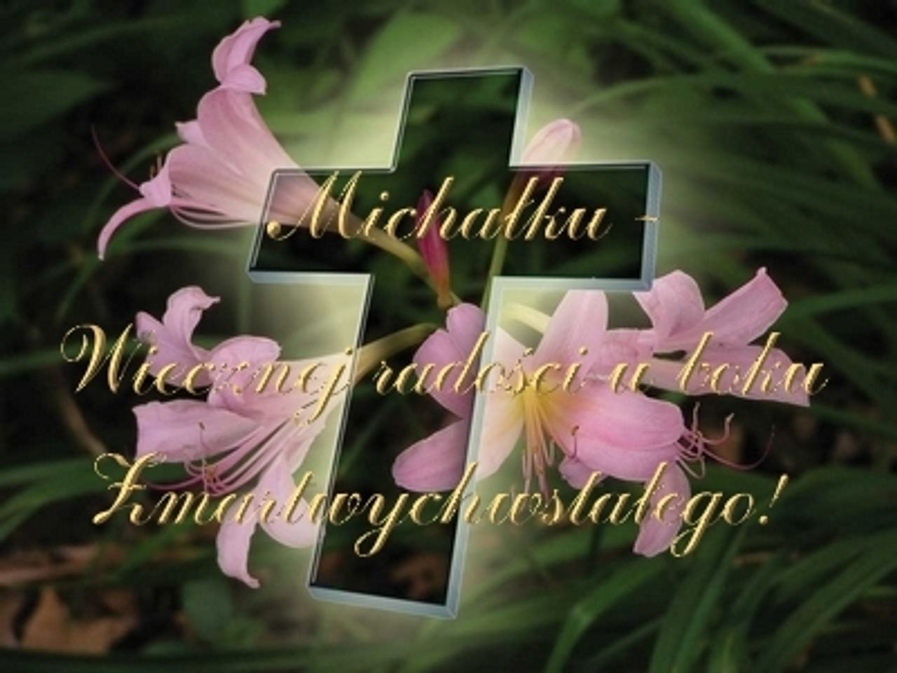<p>Po krótkiej i ciężkiej chorobie odszedł do Boga w wieku 29 lat nasz ukochany SYN i BRAT</p>
<h4><strong>śp. MICHAŁ BOGUSŁAWSKI</strong></h4>
<p>człowiek wielkiego serca mgr historii Pogrzeb odbędzie się we wtorek, 1 grudnia 2009 roku o godz. 12.50 na starym cmentarzu przy ul. Wrocławskiej w Zielonej Górze. Tak wcześnie, Boże chciałeś mieć Go u siebie</p>