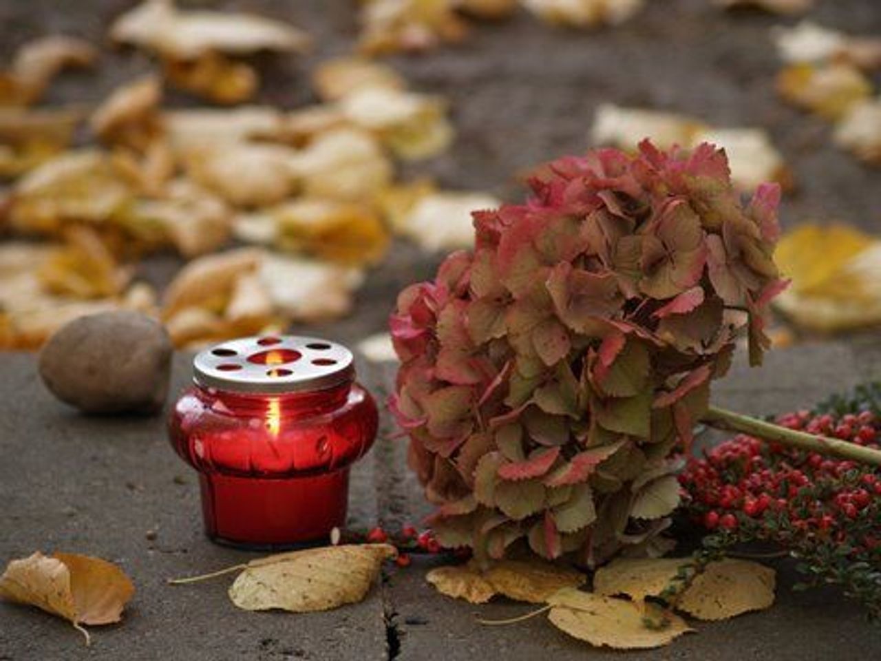 <p>Rodzinie zmarłej<br />Anny Kołeckiej<br />wyrazy szczerego współczucia i głębokiego żalu<br />składają<br />koleżanki i koledzy z Centrum Handlowego Klif Gdynia</p>