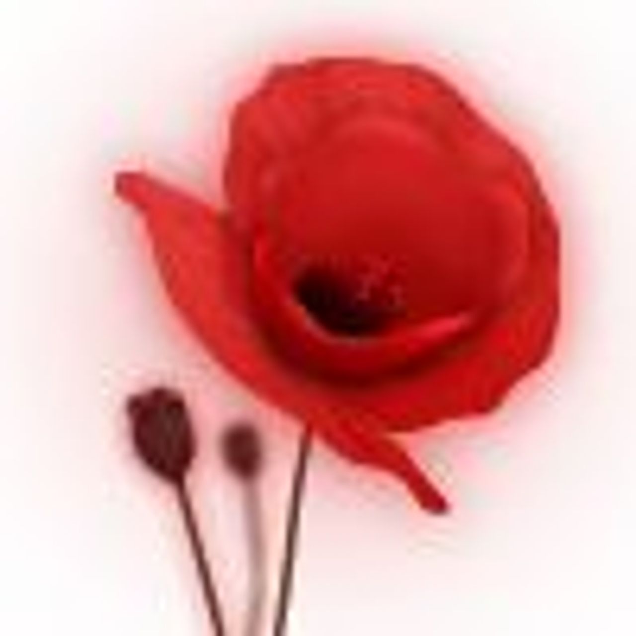 <p>Panu Krzysztofowi Wilskiemu wyrazy głębokiego współczucia i żalu z powodu śmierci Brata Zbigniewa Wilskiego składają wspólnik i pracownicy SKKW sp. z o.o.</p>