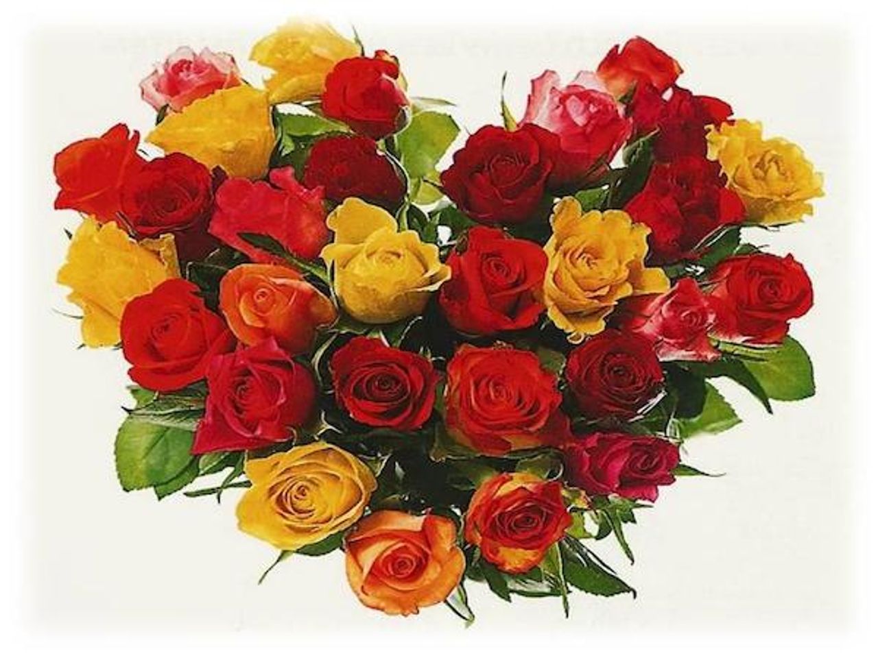 <p>Z głębokim żalem zawiadamiamy,<br />że w dniu 30 marca 2014 roku zmarła</p>
<h4>Ś † P<br />Krystyna Nowak-Lipińska</h4>
<p>Dr. n. med. - specjalista epidemiologii.</p>
<p>Wieloletni kierownik Działu Epidemiologii<br />Wojewódzkiej Stacji Sanitarno-Epidemiologicznej w Łodzi<br />i Wojewódzki Inspektor Sanitarny.</p>
<p>Uroczystości pogrzebowe odbędą się dnia 4 kwietnia 2014 r. (piątek)<br />o godz. 13.30 na Starym Cmentarzu rzymskokatolickim przy ul. Ogrodowej.</p>
<p>Krewnych, przyjaciół i znajomych</p>
<p>zawiadamia</p>
<p>najbliższa Rodzina</p>