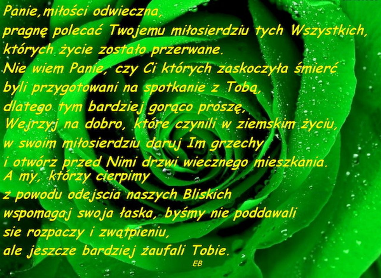 <p>Z głębokim żalem zawiadamiamy, że 12 stycznia 2014 roku odszedł od nas Kochany Brat, Wujek i Przyjaciel</p>
<h4>Śp. JÓZEF KALISZ</h4>
<p>Ceremonia pogrzebowa rozpocznie się 15.01.2014 roku o godzinie 13.30 w Kaplicy na Cmentarzu Komunalnym w Koszalinie</p>
<p>Pogrążona w smutku Rodzina</p>