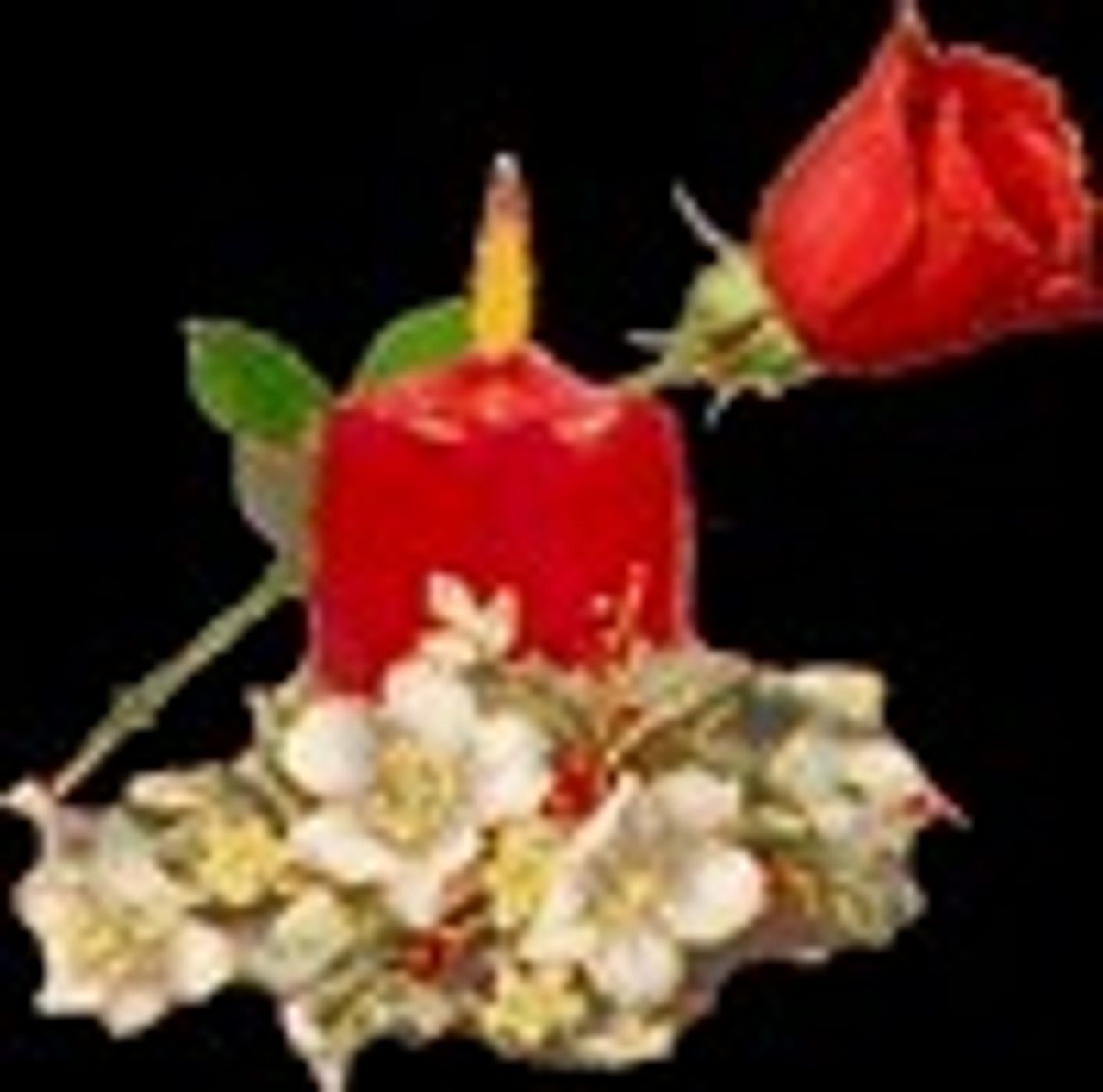 <p>Z głębokim bólem i żalem zawiadamiamy, że 28 marca 2013 roku odeszła od nas, w wieku 43 lat nasza kochana CÓRKA, moja MAMA</p>
<h4>Śp. BARBARA PIETRZAK z domu JAMRÓG</h4>
<p>Pogrzeb odbędzie się we wtorek 2 kwietnia 2013 roku o godz. 10.00 w kaplicy na NOWYM cmentarzu komunalnym w Zielonej Górze. Pogrążona w smutku rodzina. Msza święta w intencji Zmarłej zostanie odprawiona w dniu pogrzebu o godz. 8.30 w parafii pw. Św. Brata Alberta przy ul. Źródlanej w Zielonej Górze. Prosimy o nieskładanie kondolencji.</p>