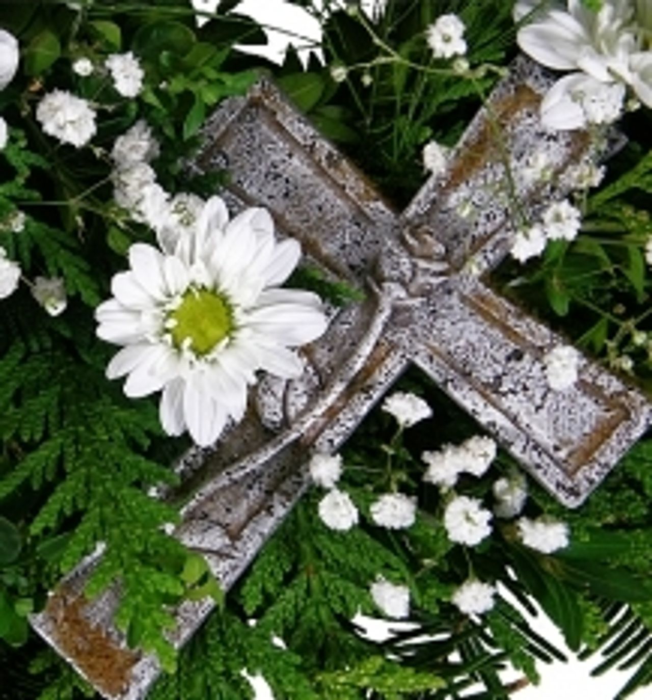 <p>Z głębokim żalem zawiadamiamy że dnia 21 stycznia 2013 roku odszedł od nas Kochany Tata, Brat, Dziadek i Przyjaciel Śp. Janusz Staroszczyk Ceremonia pogrzebowa rozpocznie się 25.01.2013 o godzinie 13.30 w kaplicy na Cmentarzu Komunalnym w Koszalinie. Pogrążona w smutku rodzina</p>