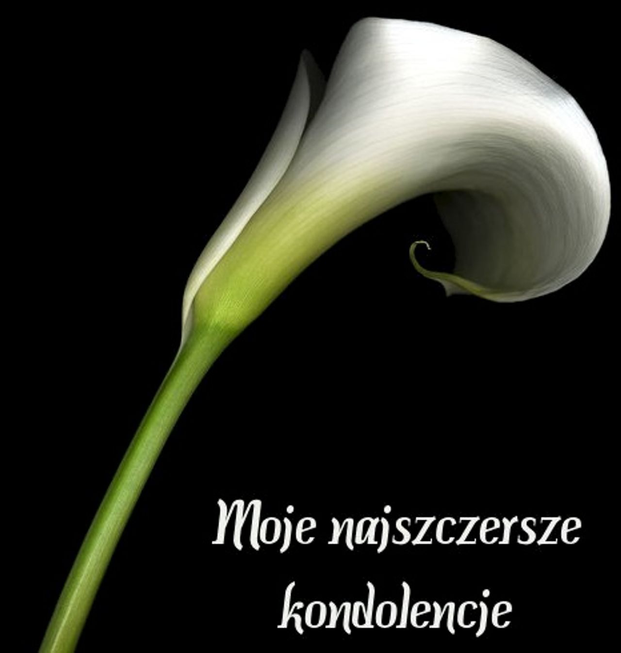 <p>Z wielkim żalem i smutkiem przyjęliśmy wiadomość o śmierci</p>
<h4>JADWIGI JABŁOŃSKIEJ</h4>
<p>naszego wieloletniego pracownika rejestracji medycznej, osoby skromnej, o wielkim sercu, oddanej pacjentom.</p>
<p>Żegnając naszą koleżankę przekazujemy szczere wyrazy współczucia Rodzinie</p>
<p>dyrekcja i pracownicy SPMZOZ w Słupsku</p>