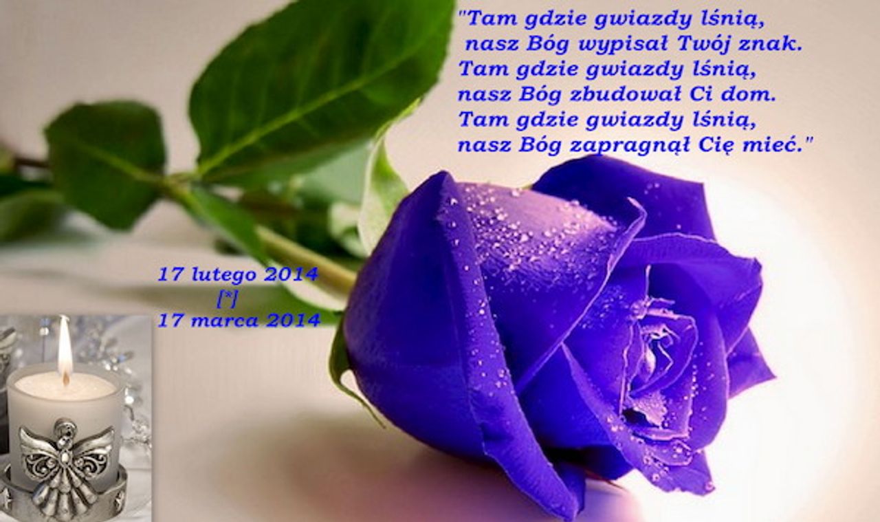 <p>Z głębokim żalem zawiadamiamy, że 17 lutego 2014 roku odszedł od nas Kochany MĄŻ, TATUŚ, SYN i DZIADEK</p>
<h4>śp. WOJCIECH JANKOWSKI</h4>
<p>Ceremonia pogrzebowa rozpocznie się 20 lutego 2014 roku o godzinie 11.00 w Kaplicy na Cmentarzu Komunalnym w Koszalinie. Msza św. żałobna odprawiona zostanie tego samego dnia o godzinie 9.50 w Kościele Parafialnym w Kretominie.</p>
<p>Pogrążona w smutku Rodzina Prosimy o nieskładanie kondolencji</p>