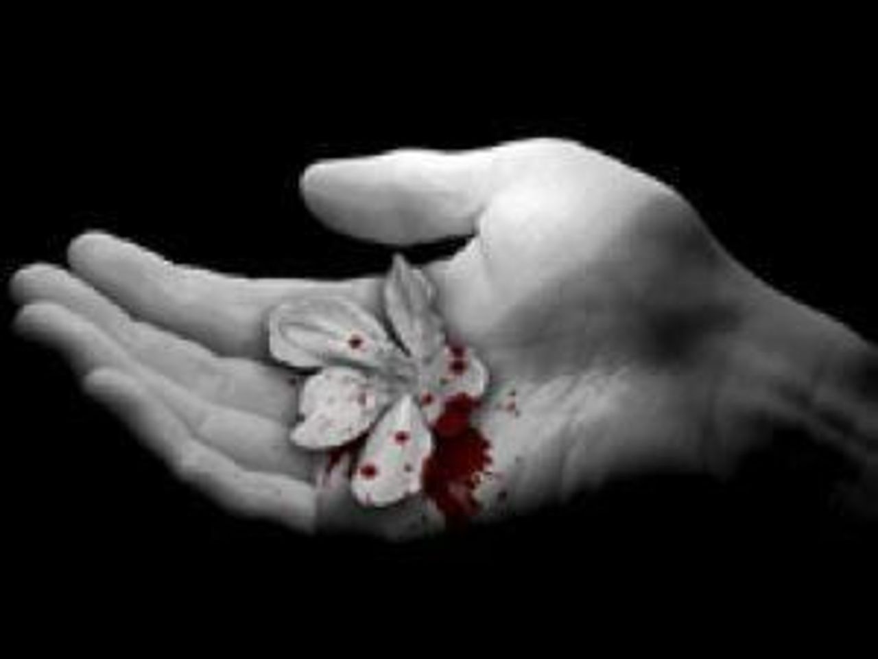 <p>Choć wczoraj byłeś, dziś Ciebie już nie ma Odszedłeś w wieczną dal pozostawiając w naszych sercach ból, tęsknotę i żal. Z głębokim żalem zawiadamiam, że dnia 29 lipca 2010 roku zginął śmiercią tragiczną mój kochany Patryk i tatuś śp. Patryk Rajca lat 22. Pogrążona w smutku SYLWIA z CÓRECZKĄ WIKTORIĄ</p>