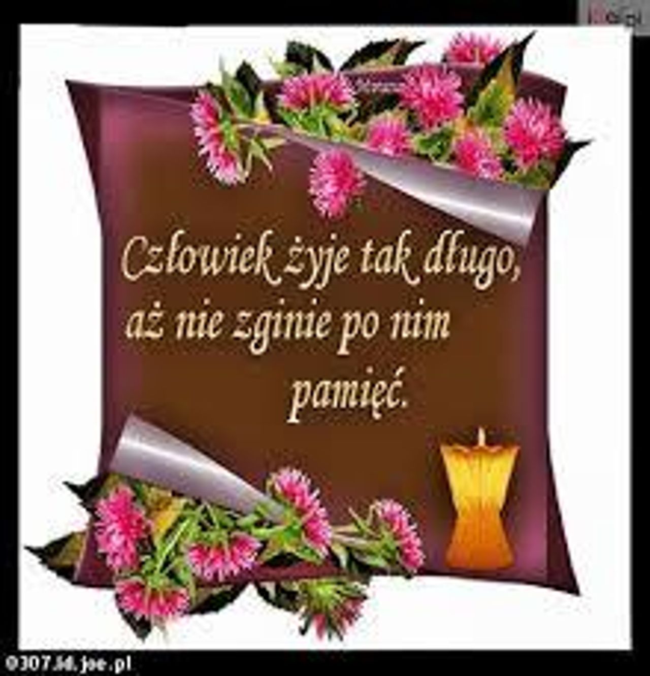 <p>Ze smutkiem zawiadamiamy,<br />że 3 września 2017 roku odszedł,<br />pozostawiając najbliższych w głębokim żalu,<br />mój kochany Mąż, nasz Ojczym, Teść i Dziadek</p><p>ś+p<br />Tadeusz Hałaburda</p><p>Pogrzeb odbędzie się w sobotę<br />9 września 2017 roku o godz. 11.30<br />na starym cmentarzu komunalnym<br />przy ul. Wrocławskiej w Zielonej Górze.</p><p>Rodzina</p>