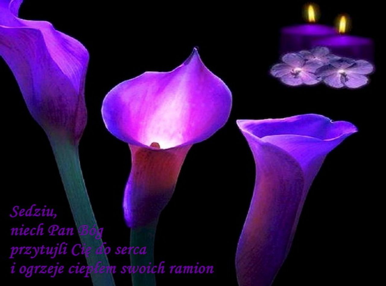 <p>Z głębokim żalem zawiadamiamy, że dnia 12 maja 2010 r. odeszła od Nas Nasza Kochana Mama, Babcia i Prababcia</p>
<h4>śp. PRAKSEDA BUJALSKA</h4>
<p>Ceremonia pogrzebowa rozpocznie się 17 maja 2010 r. o godz. 12.30 na Cmentarzu Komunalnym w Koszalinie. Pogrążona w smutku córka Basia z mężem, wnuki i prawnuczka Amelka Prosimy o nieskładanie kondolencji</p>