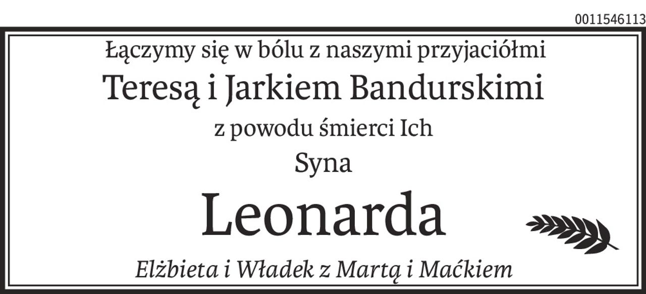 Łączymy się w bólu z naszymi przyjaciółmi
Teresą i Jarkiem Bandurskimi
z powodu śmierci Ich
Syna
Leonarda
Elżbieta i Władek z Martą i Maćkiem
