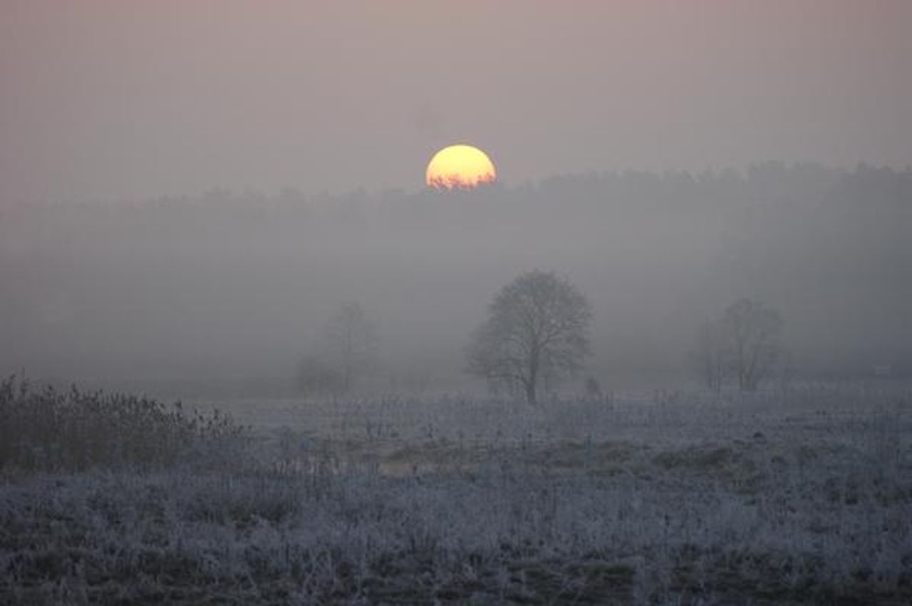 <p>Z ogromnym smutkiem przyjęliśmy wiadomość o śmierci Pana Wiktora WOŁKOWA artysty fotografika byłego pracownika Politechniki Białostockiej Żonie GRAŻYNIE składamy wyrazy szczerego współczucia Rektor, Senat, pracownicy Politechniki Białostockiej</p>