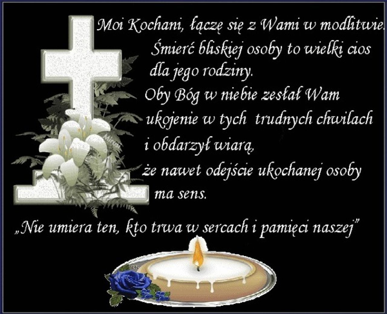 <p>Z żalem zawiadamiamy, że 29 grudnia 2016 r. zmarł</p><p>śp. Ryszard Babiak<br />Pogrzeb odbędzie się 2 stycznia 2017 r. o godz. 13.30</p><p>na cmentarzu Zielona Góra – Jędrzychów.<br />Pogrążona w żałobie</p><p>Rodzina</p>