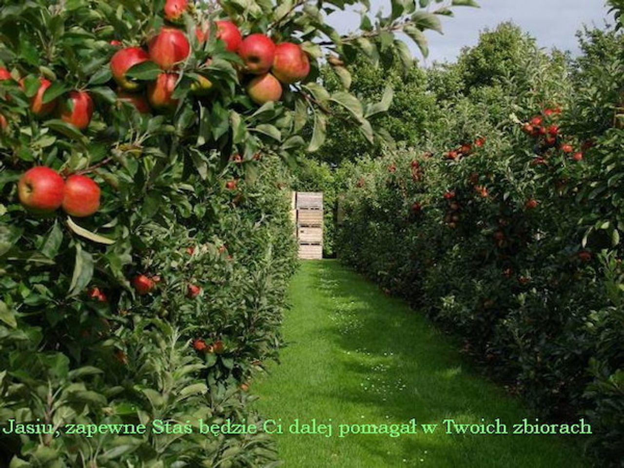 <p>Z głębokim żalem zawiadamiamy, że 14 maja 2012 r. zmarł w wieku 72 lat Nasz Ukochany Mąż, Tata, Teść i Dziadek</p>
<h4><strong>śp. Jan Szewczyk.</strong></h4>
<p>Były Naczelnik Wydziału Mechanizacji Wojewódzkiego Zjednoczenia PGR – wieloletni sadownik.</p>
<p><span>Pogrzeb odbędzie się w czwartek, 17 maja 2012 r. o godz. 12.00 w kaplicy na Cmentarzu Komunalnym w Koszalinie.</span></p>
<p><span>Pogrążona w bólu Rodzina.</span></p>