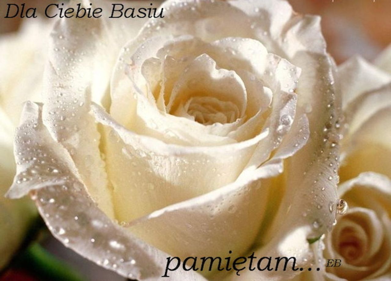 <p>Z głębokim żalem zawiadamiamy, że 4 lutego 2012 r. zmarła Moja Kochana Żona, Córka, Nasza Mama i Babcia</p>
<h4><strong>śp. Barbara Firadza z d. Gałecka.</strong></h4>
<p>Ceremonia pogrzebowa rozpocznie się mszą świętą żałobną, odprawioną w czwartek, 9 lutego 2012 r. o godz. 14.30 w Kościele Parafialnym w Mielnie. Po mszy nastąpi wyprowadzenie na cmentarz w Mielnie.</p>
<p>Rodzina.</p>