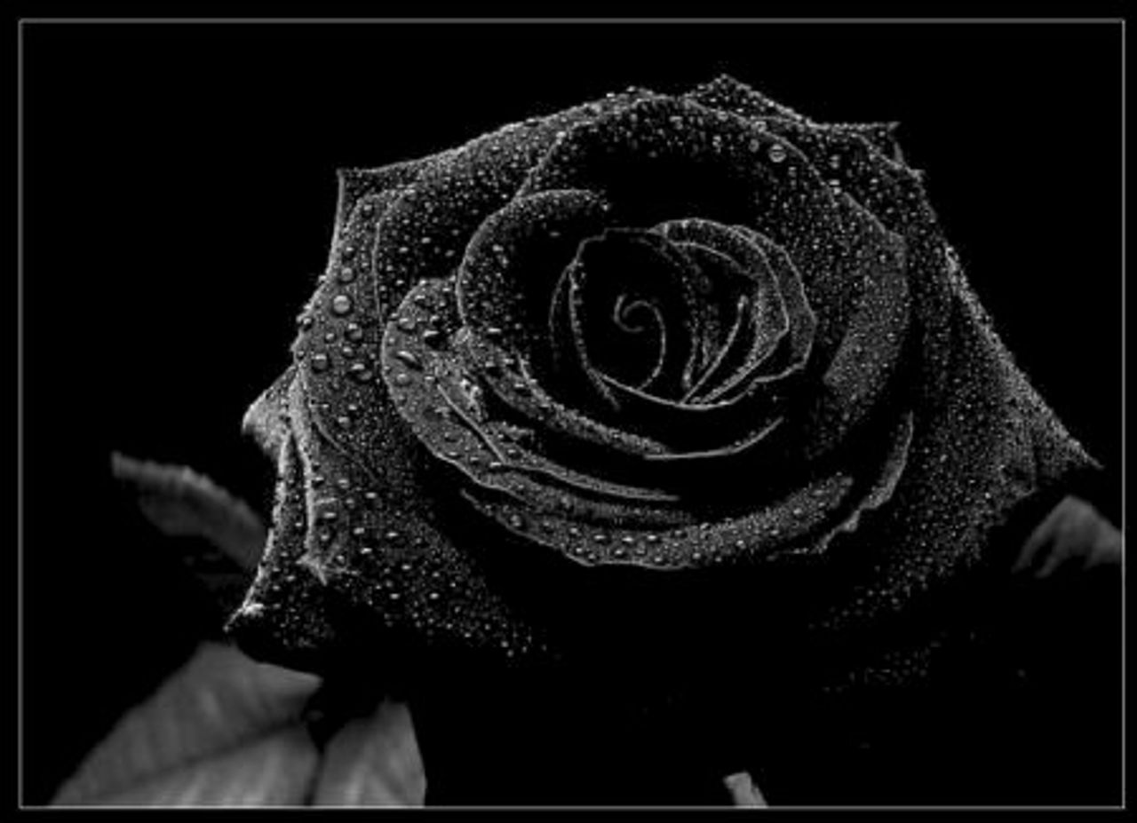 <p>Z głębokim żalem zawiadamiamy, że w dniu 21.02.2012 r. zmarł przeżywszy 57 lat nasz kochany MĄŻ, OJCIEC i BRAT ŚP. Jerzy MOSKWA Uroczystości pogrzebowe odbędą się w kaplicy na cmentarzu Wilkowyja w dniu 24.02.2012 r. o godz. 12:30 Pogrążona w smutku Rodzina</p>