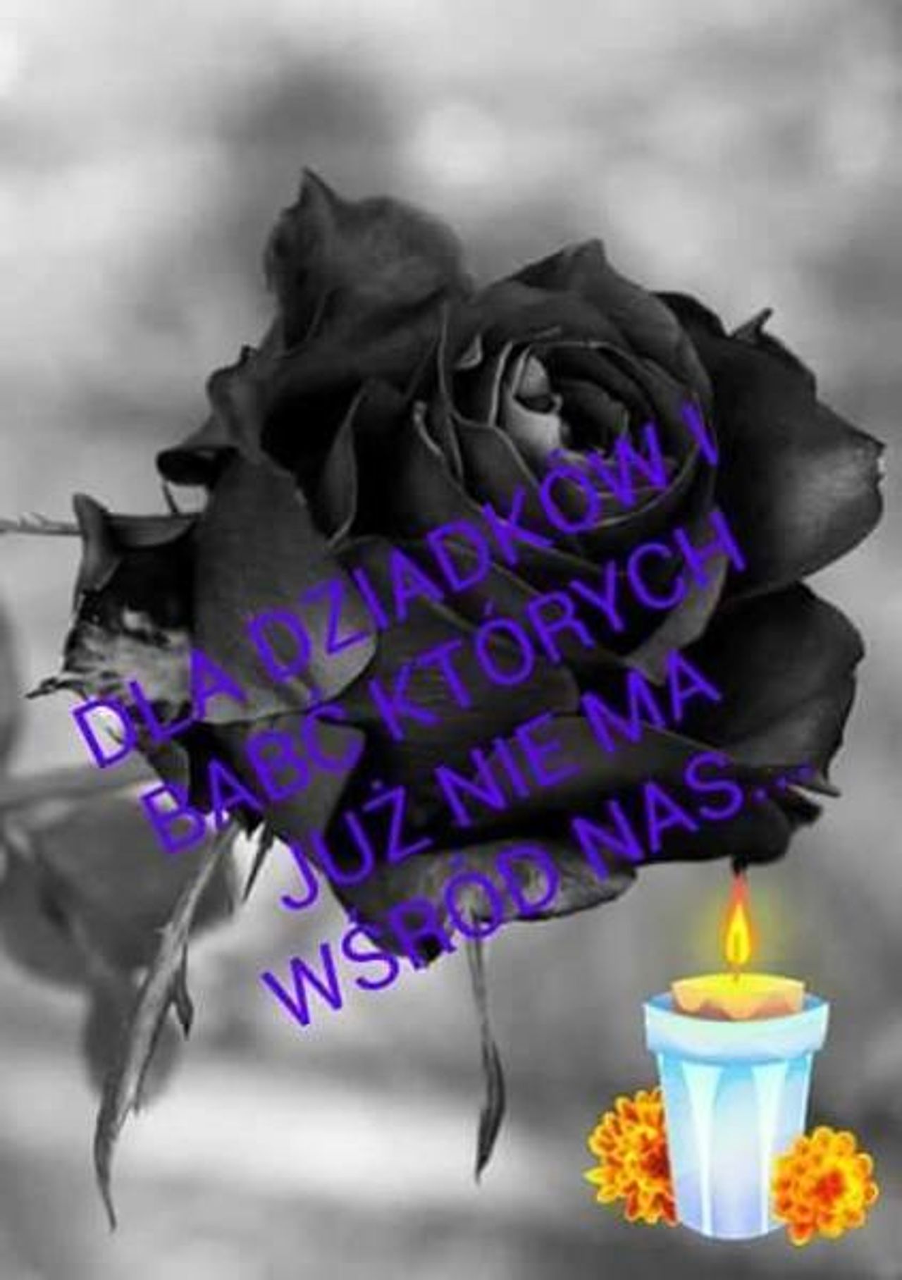 <p>Z głębokim smutkiem zawiadamiamy, że 8 stycznia 2013 r. odszedł od nas w wieku 92 lat<br />ukochany Mąż, Ojciec i Dziadek<br />śp.<br />Wacław Bohatyrko<br />żołnierz Armii Krajowej<br />odznaczony Krzyżem Kawalerskim Orderu Odrodzenia Polski<br />Msza św. żałobna odbędzie się 11 stycznia w kościele pw. św. Franciszka z Asyżu (Siedlce)<br />o godz. 11.30<br />Pogrzeb odbędzie się tego samego dnia na cmentarzu Łostowickim o godz. 12.30.<br />Pogrążona w żalu rodzina</p>