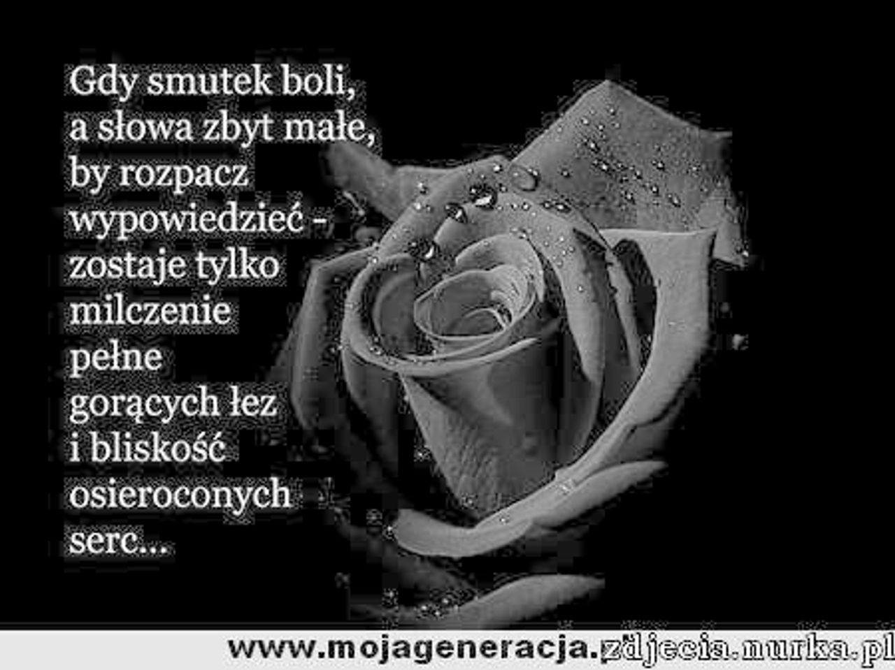 <p>Z sercem pełnym bólu zawiadamiamy, że 1.12.2014 r. zasnął w Bogu mój kochany Mąż, Ojciec, Teść, Dziadziuś i Pradziadek</p>
<h4>śp. Zygmunt Rossa</h4>
<p>lat 81</p>
<p>Pogrzeb odbędzie się 6.12.2014 r. (sobota) o godzinie 13.00 na cmentarzu komunalnym przy ul. Kcyńskiej.</p>
<p>W smutku pogrążona Rodzina</p>