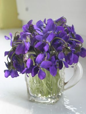 Image chosen by user