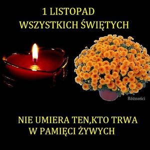 Obrazek wybrany przez użytkownika