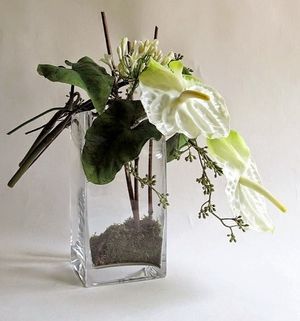 Image chosen by user