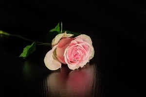 Image chosen by user