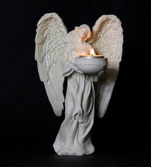 Image chosen by user