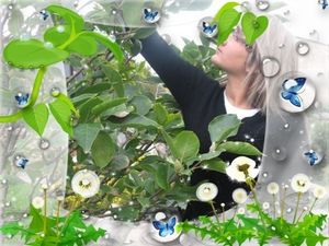 Image chosen by user