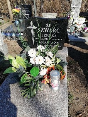 Obrazek wybrany przez użytkownika