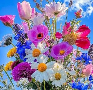 Image chosen by user