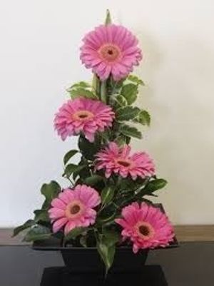 Image chosen by user