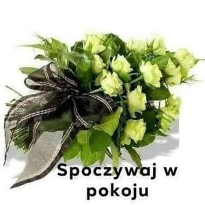 Obrazek wybrany przez użytkownika