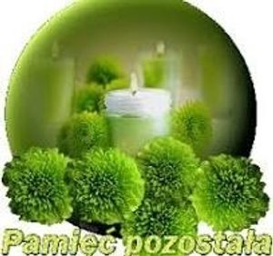 Image chosen by user