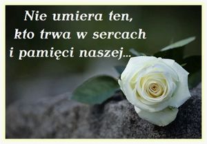 Obrazek wybrany przez użytkownika