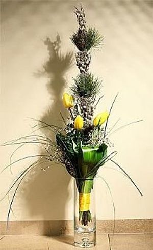 Image chosen by user