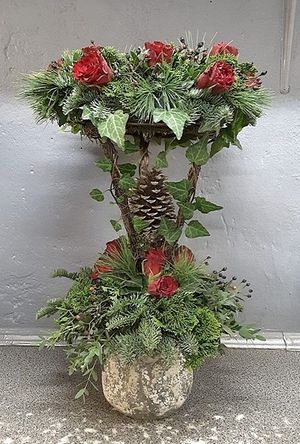 Image chosen by user