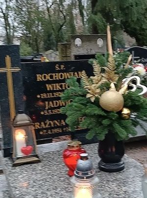Obrazek wybrany przez użytkownika