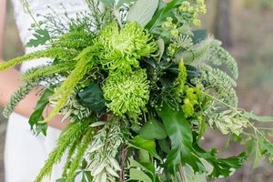 Image chosen by user