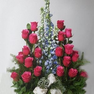 Image chosen by user