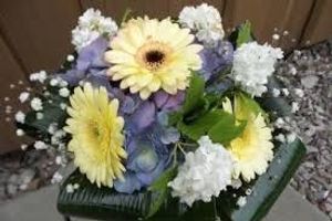 Image chosen by user