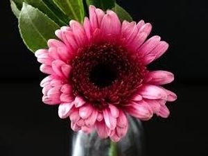 Image chosen by user