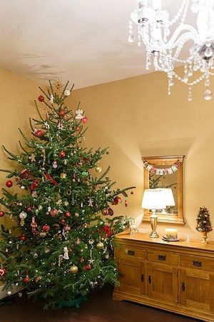 Image chosen by user